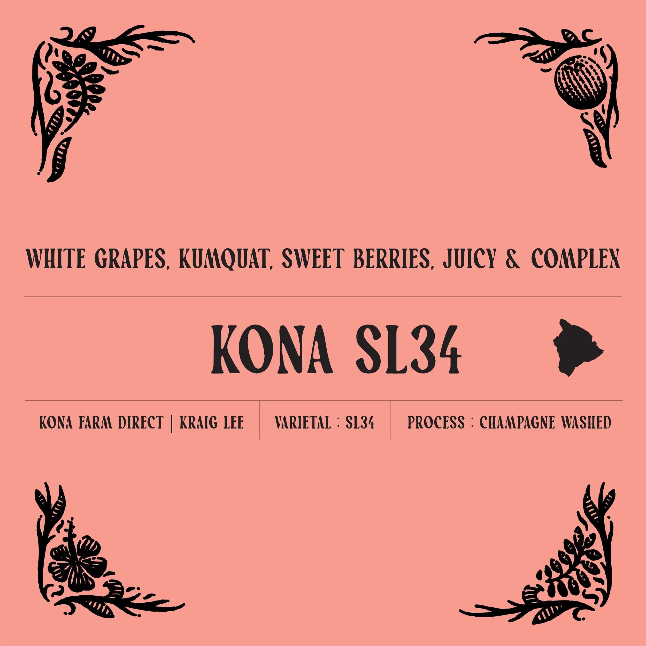 KONA SL34