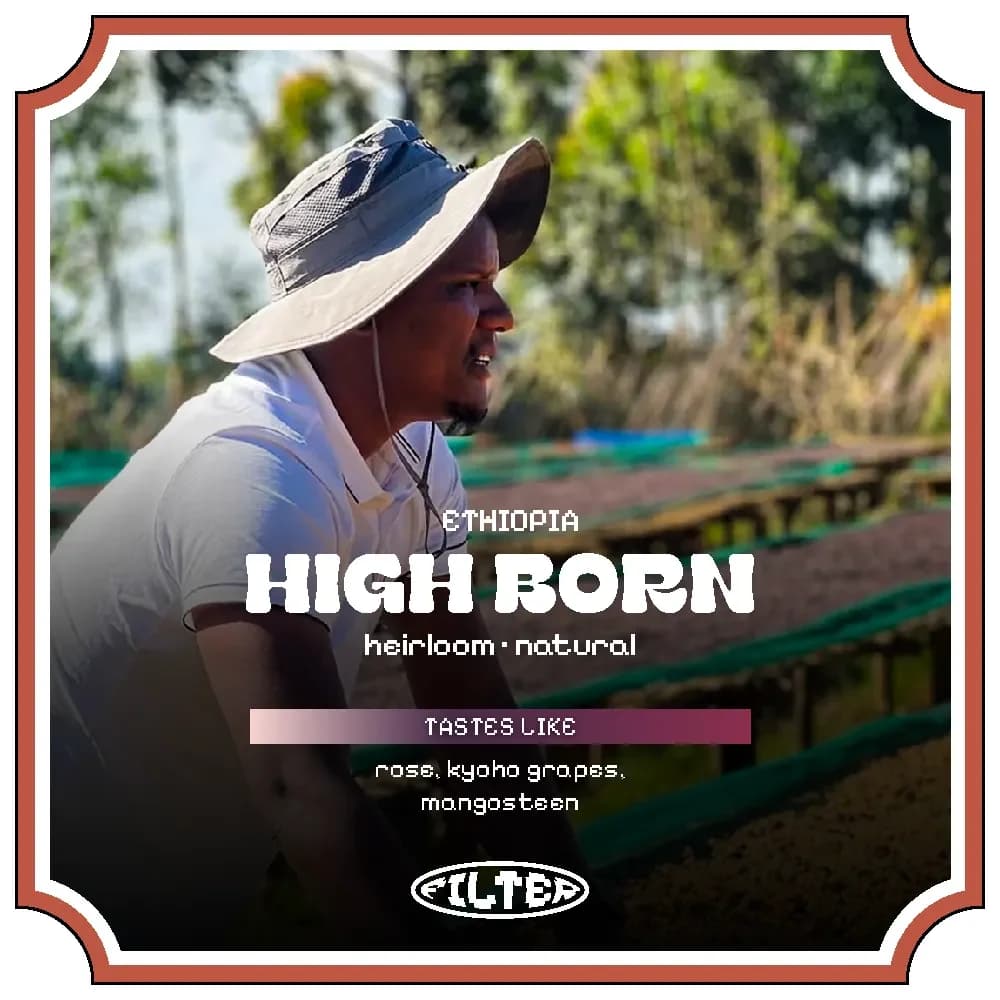 Oboleyan\High Born