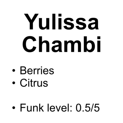 Yulissa Chambi – Washed Red Catuai – French Roast – 100g (3.52oz)