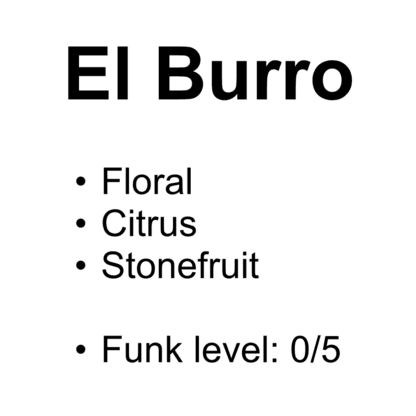 El Burro Lot #17 – Washed Gesha