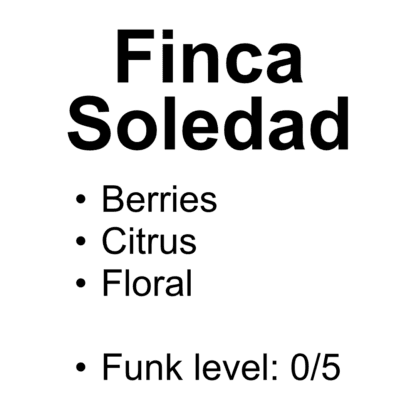 Finca Soledad – Oxidator Washed Sidra – Nordic Light – 100g (3.52oz)
