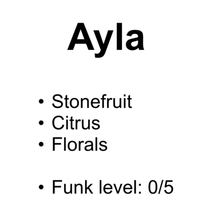 Ayla – Washed 74110, 74158