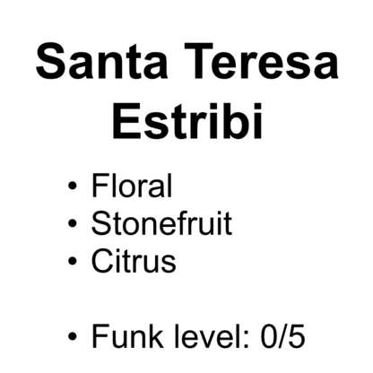 Santa Teresa Estribi – Washed Gesha – 100g (3.52oz)
