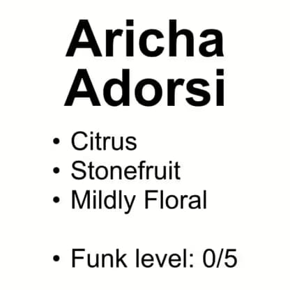 Aricha Adorsi – Washed Kerume