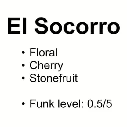 El Socorro – Washed Gesha