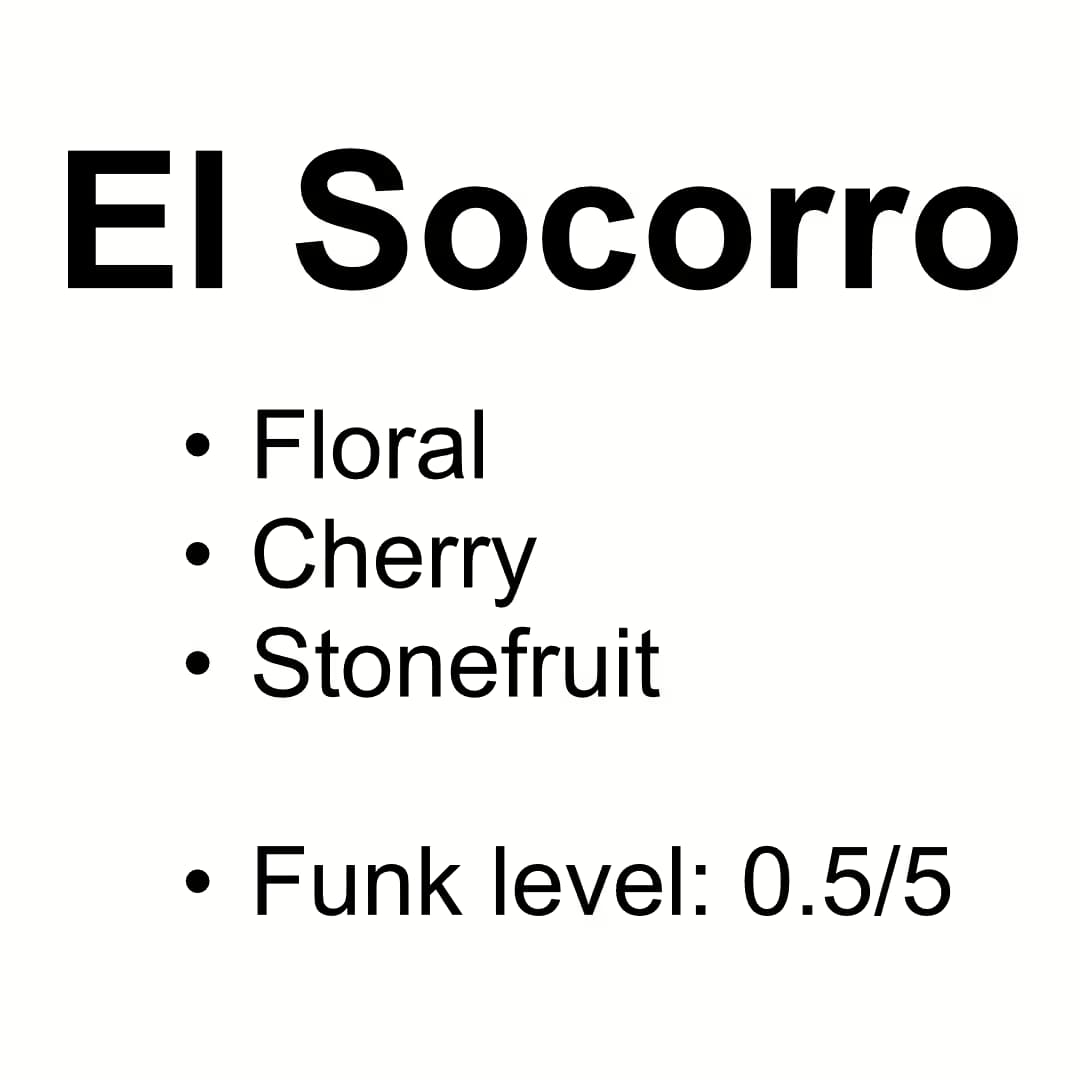 Unroasted Coffee Archive - El Socorro - Washed Gesha