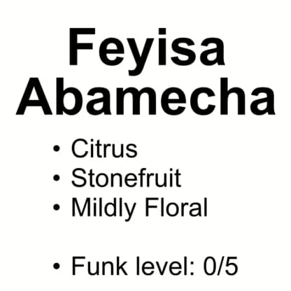 Feyisa Abamecha – Heirloom Varieties – 50g (1.76oz)