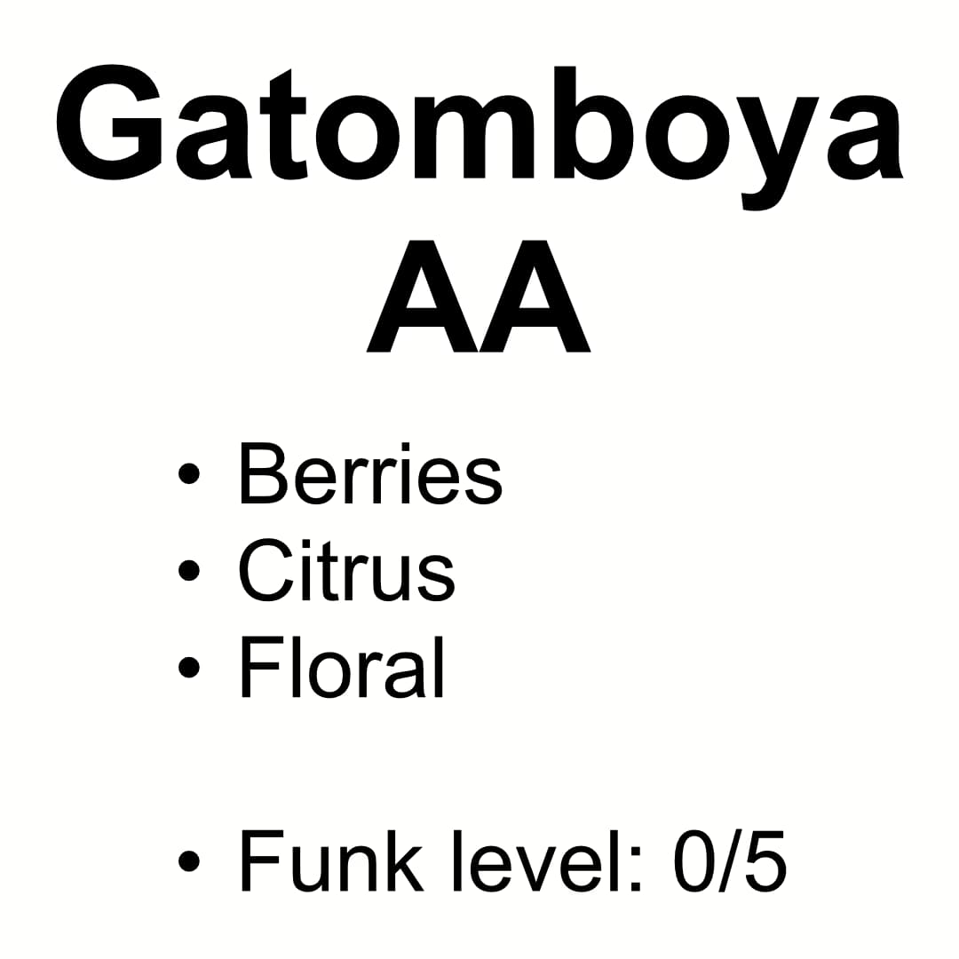 Gatomboya AA - Mostly SL28, SL34