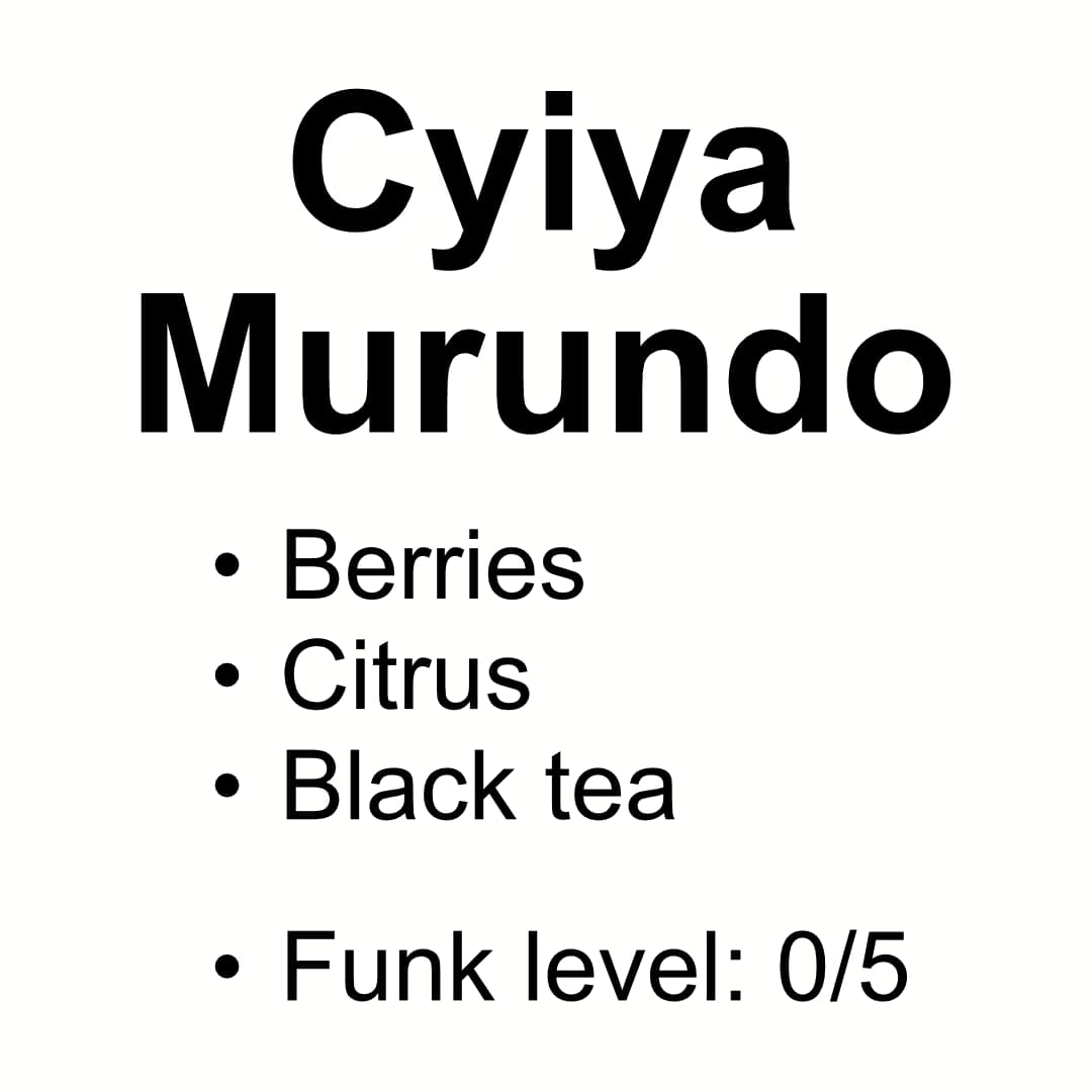 Ciyiya Murundo - Triple Washed Bourbon