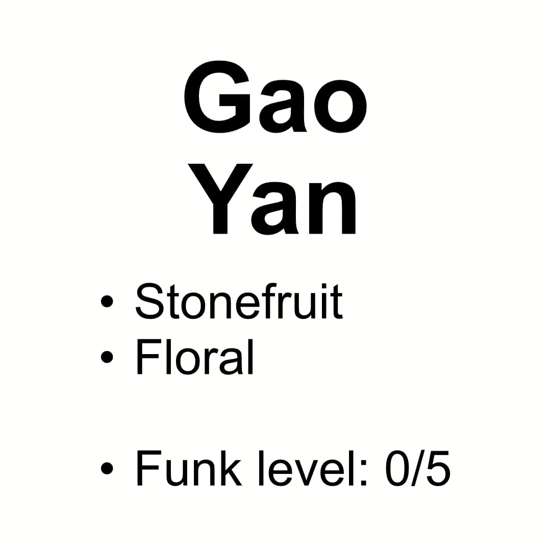 Gao Yan Village Group - Yunnan - Washed Ethiopian Landrace