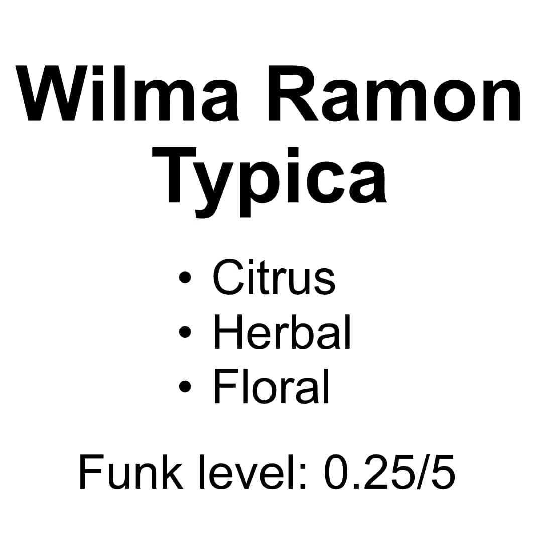 Unroasted Coffee - Wilma Ramon - Double Washed Typica