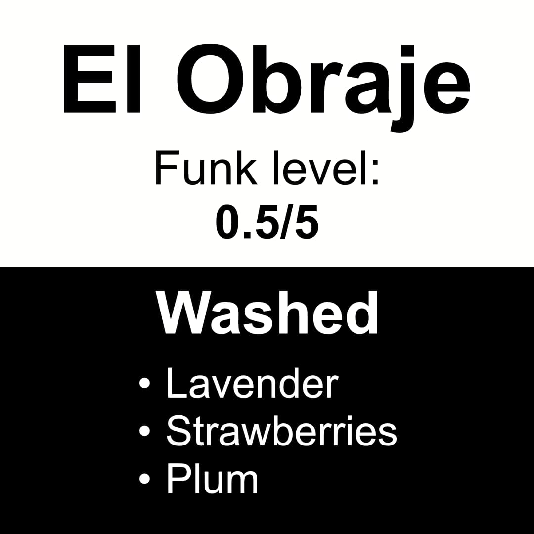 Unroasted Coffee - El Obraje Washed Gesha