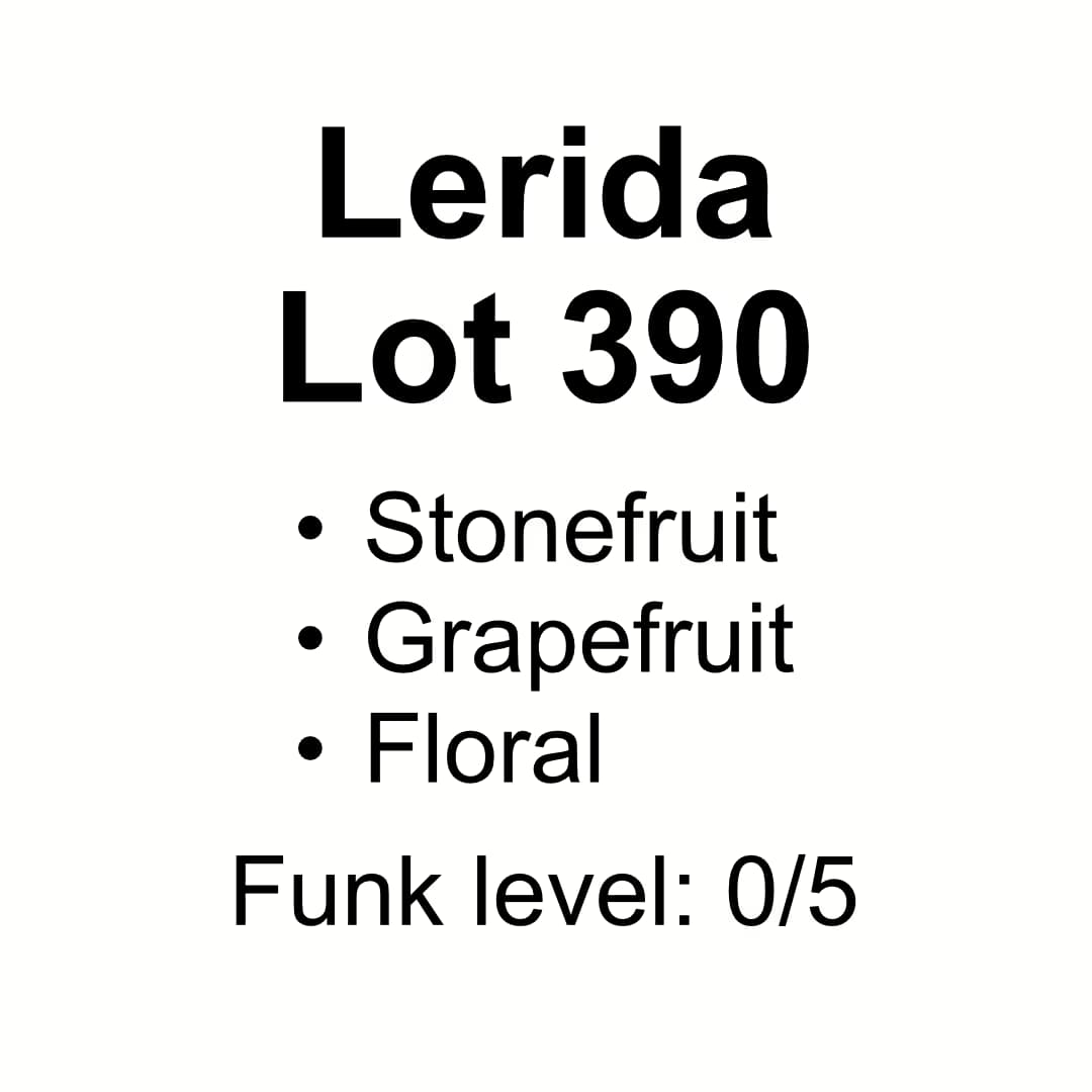 Lerida Cold Room Dried Washed Gesha