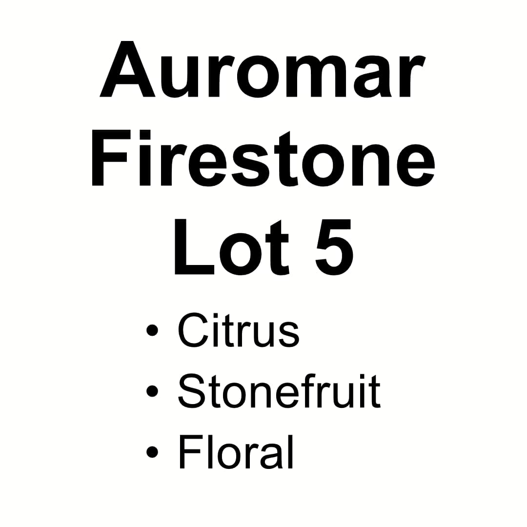 Auromar Firestone Lot 5 - Washed Gesha