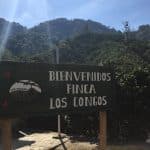 Nicaraguan Single Varietal Coffee - Los Congos Farm