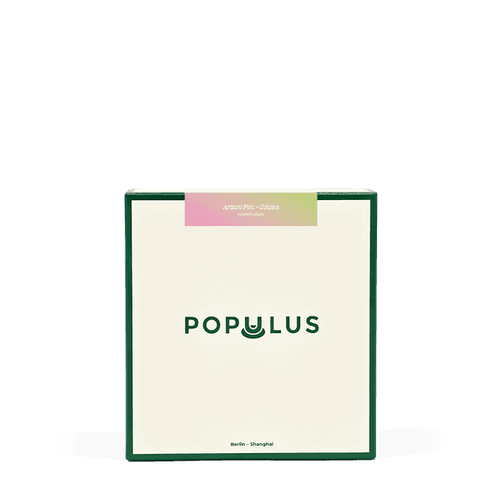 Honduras - Arturo Paz Geisha