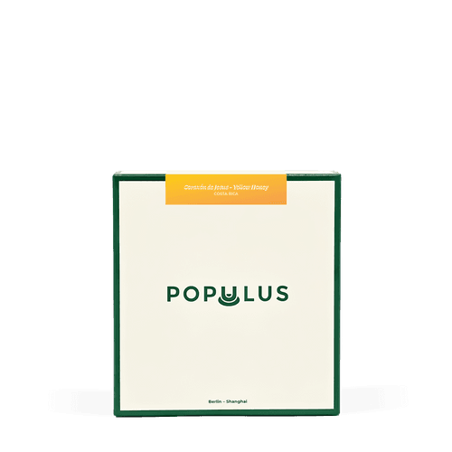 Costa Rica - Corazón de Jesus - Yellow Honey