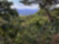 FINCA Nazareth