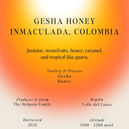 Gesha Honey, Inmaculada, Colombia