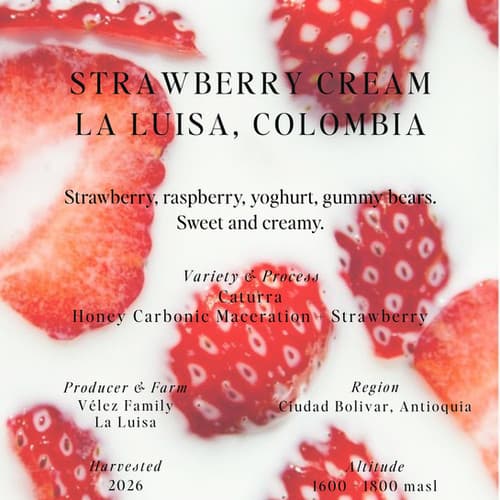 Strawberry Cream, La Luisa, Colombia