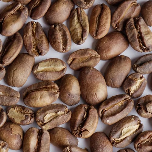 Ethiopia Geisha Village - Lot #25/048 - Oma