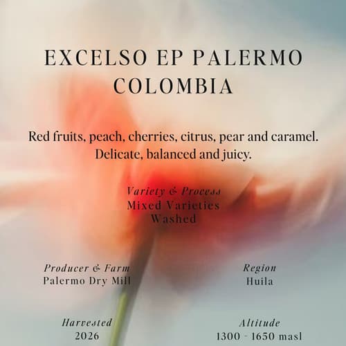 Mixed Varieties, Washed, Excelso EP Palermo, Colombia