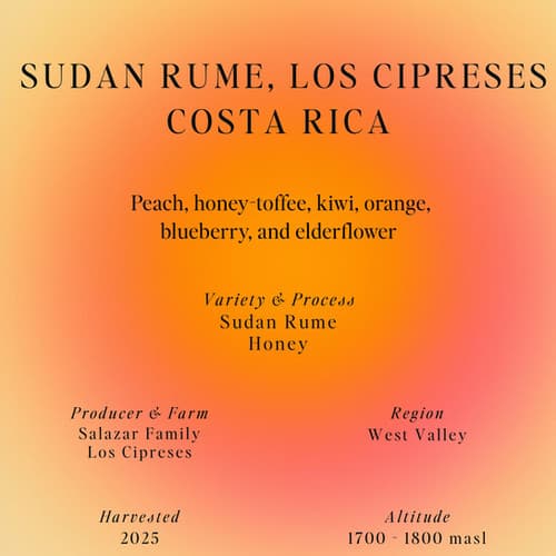 Sudan Rume, Los Cipreses, Costa Rica