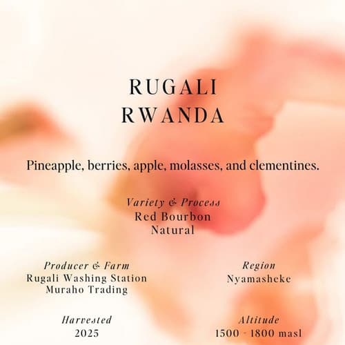 Espresso Rugali