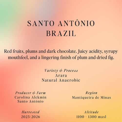 Arara, Natural Anaerobic, Santo Antônio, Brazil
