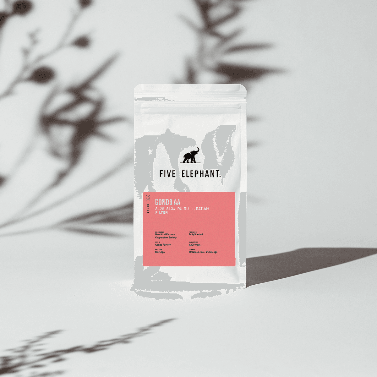 KENYA Gondo AA – Filter