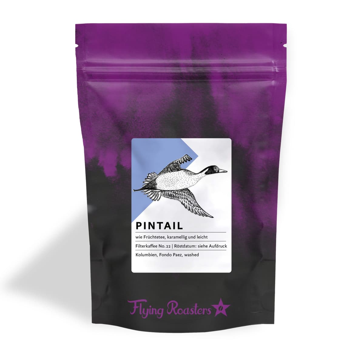 Pintail