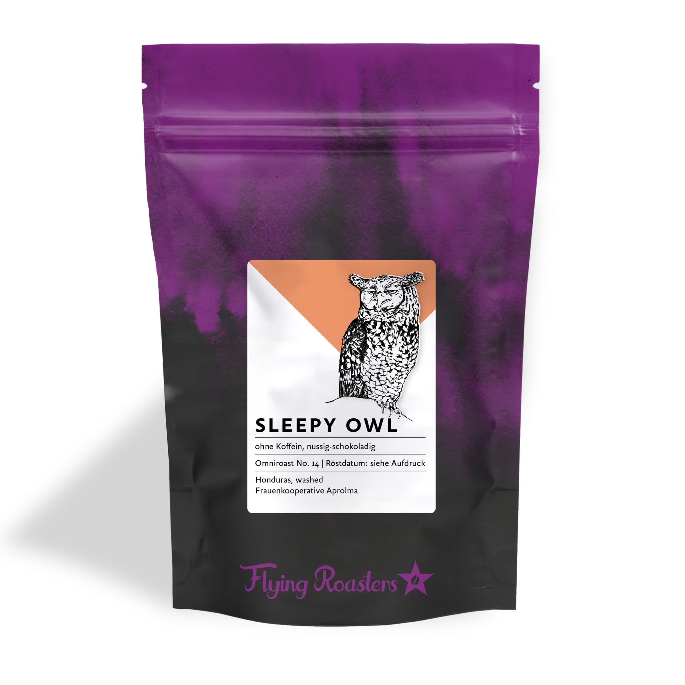 Sleepy Owl