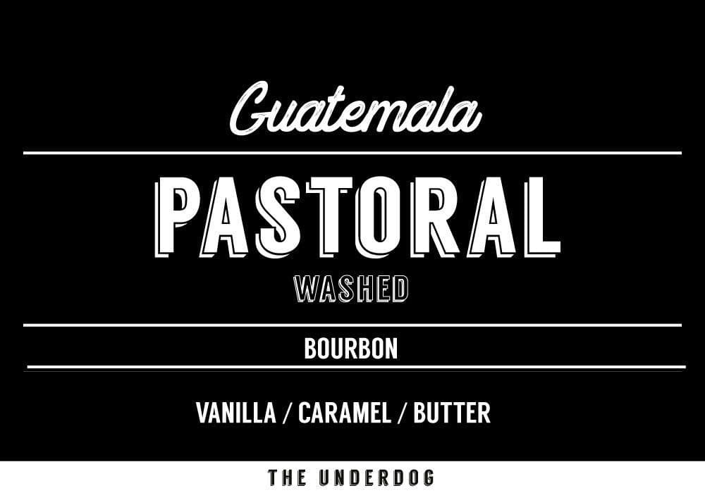 Guatemala, Pastoral
